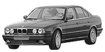 BMW E34 C247D Fault Code